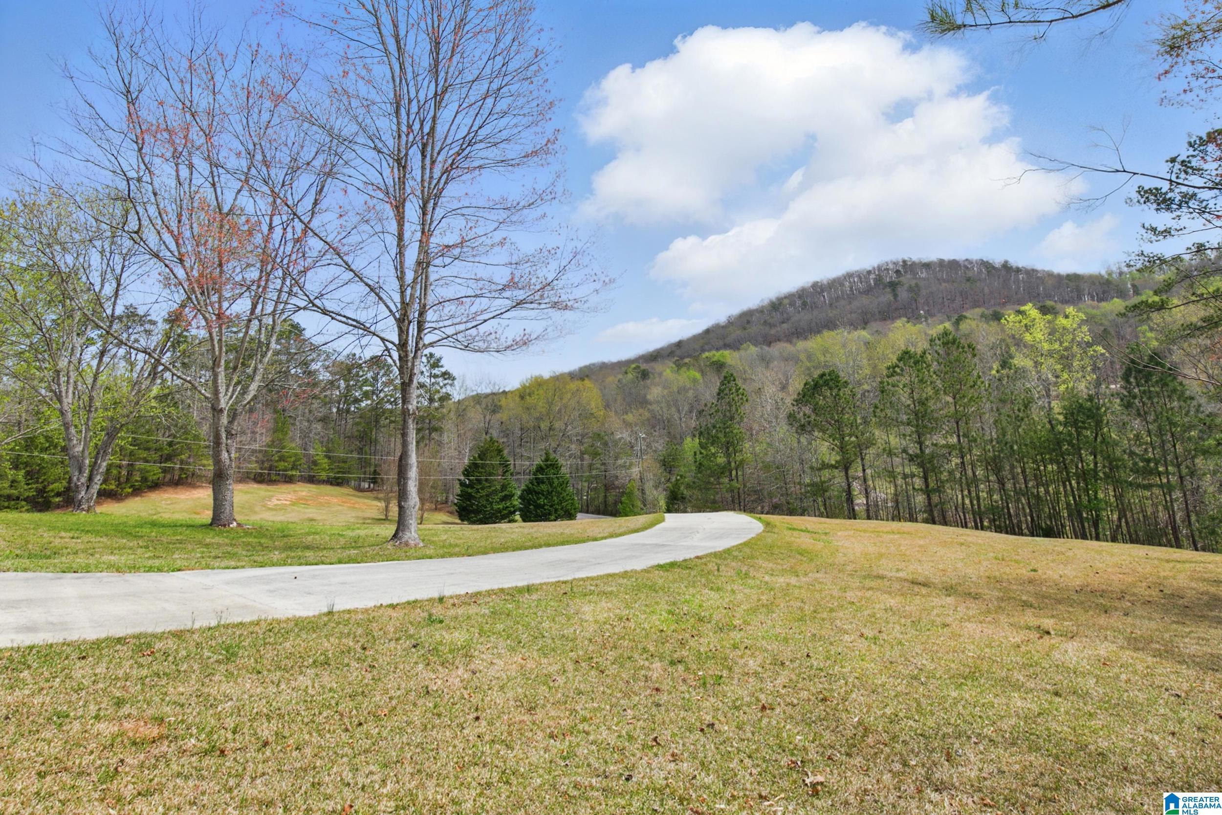 2840 Village Springs Road Springville, AL 35146 - Photo 47 of 51