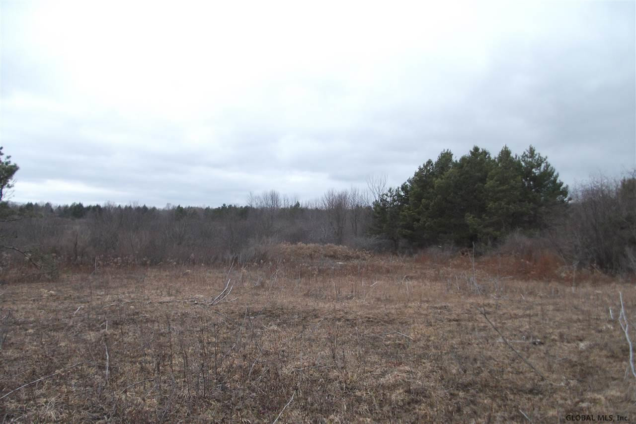 565 Knight Road Delanson, NY 12053 - Photo 3 of 8 Photo 3