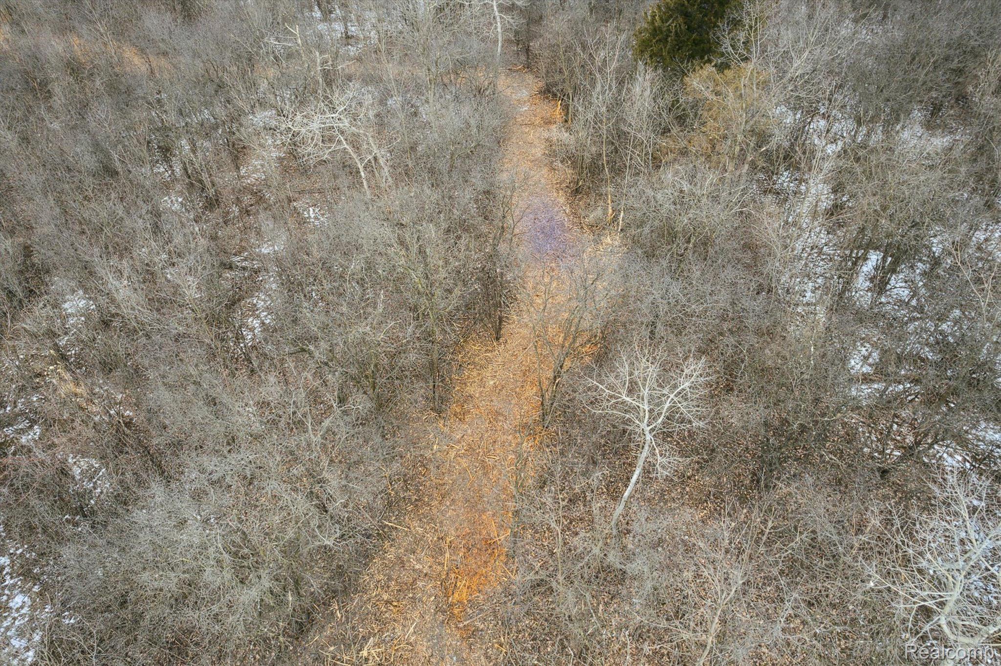 V/l Blake Road Jackson, MI 49202 - Photo 45 of 97 Gallery Image 45