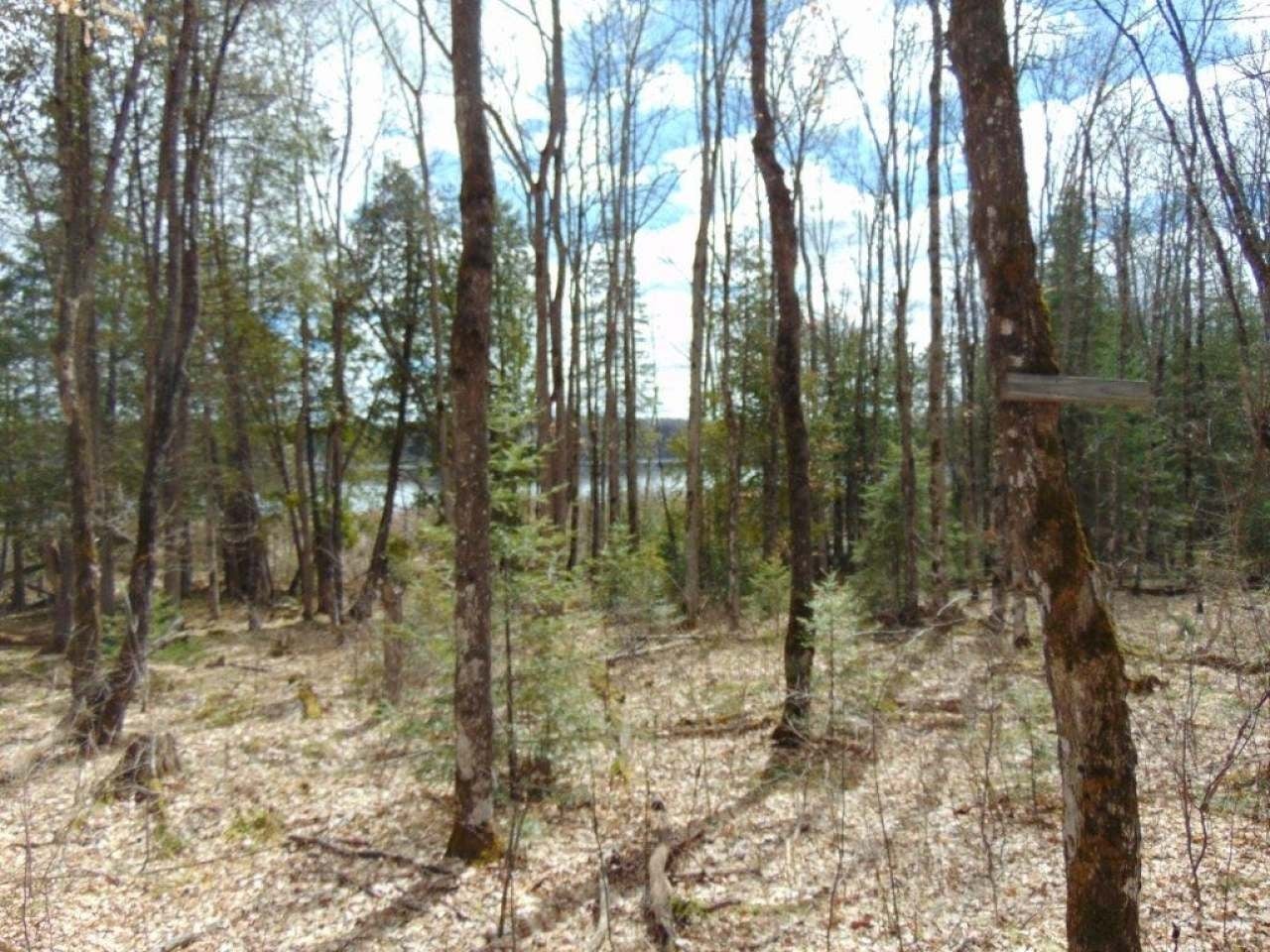 8064 Powderhorn Road Presque Isle, WI 54557 - Photo 16 of 26 Gallery Image 16