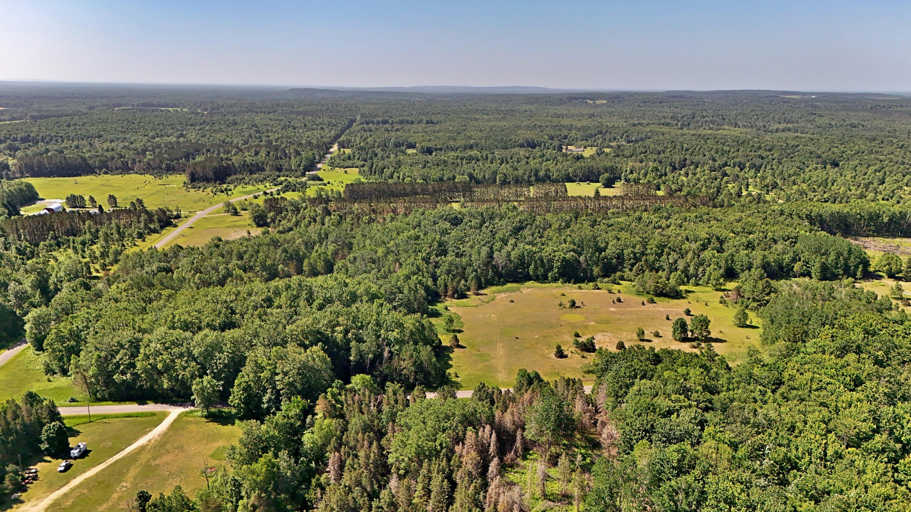 52-acres Tannerville Road Kaleva, MI 49645 - Photo 13 of 28 batch_DJI_20250623110354_0221_D
