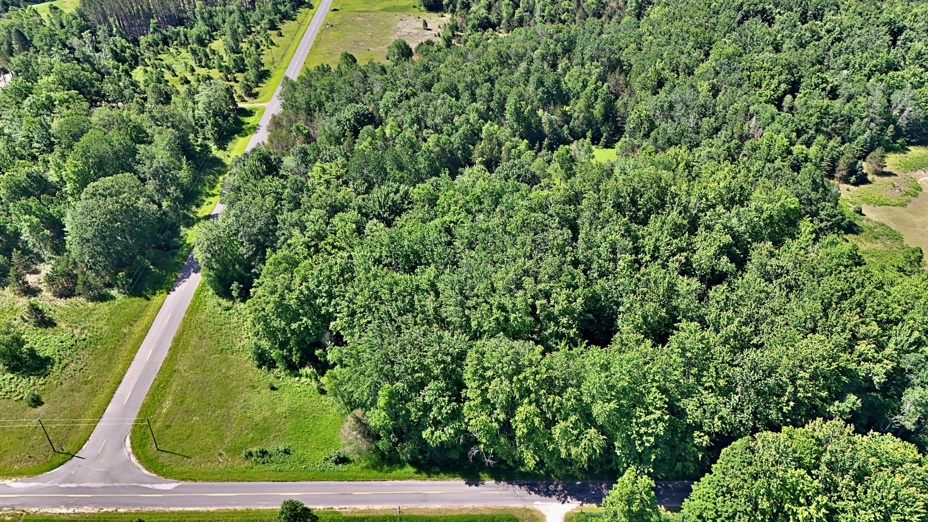 52-acres Tannerville Road Kaleva, MI 49645 - Photo 2 of 28 batch_DJI_20250623111146_0237_D