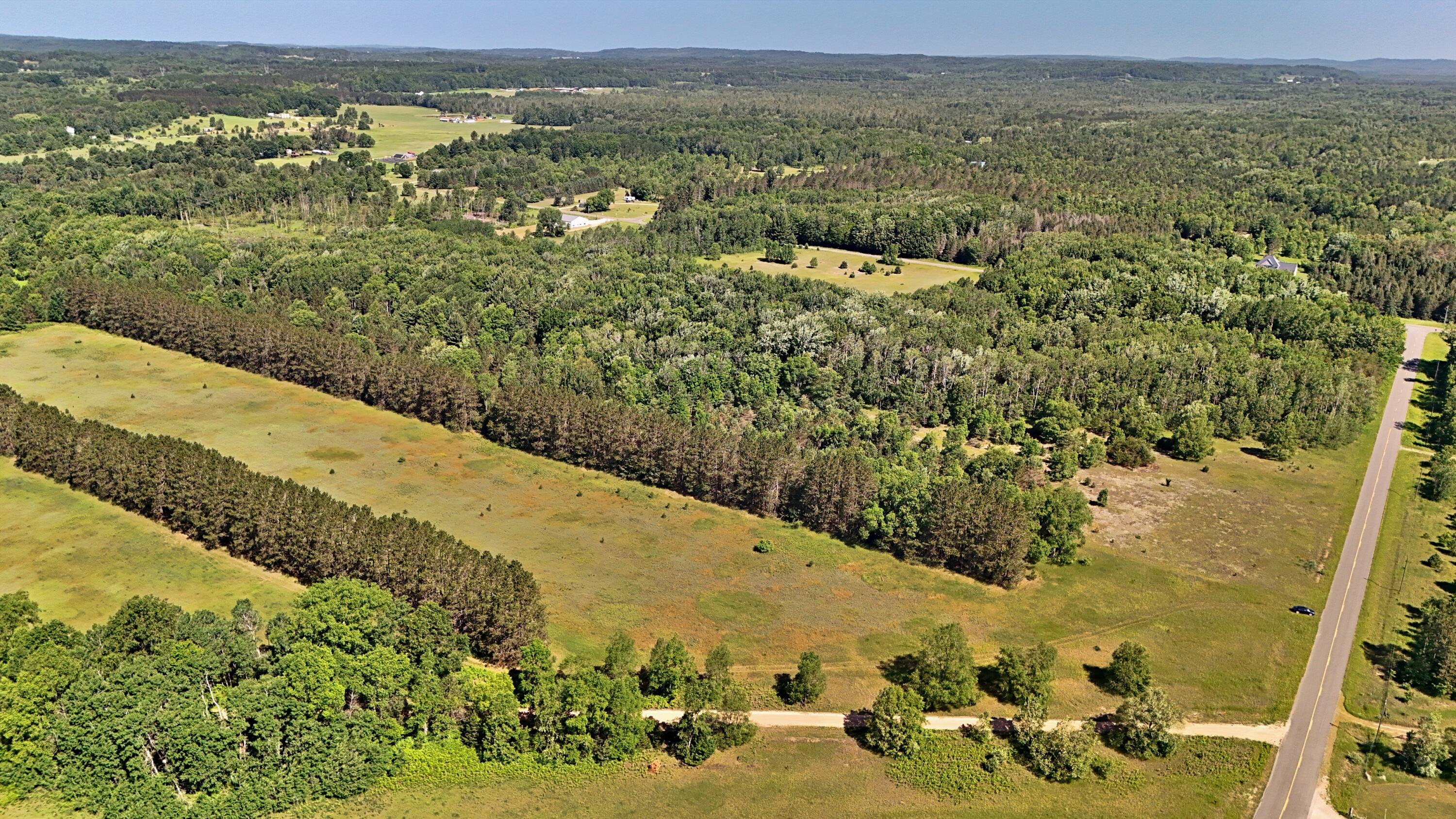 52-acres Tannerville Road Kaleva, MI 49645 - Photo 8 of 28 batch_DJI_20250623110127_0216_D