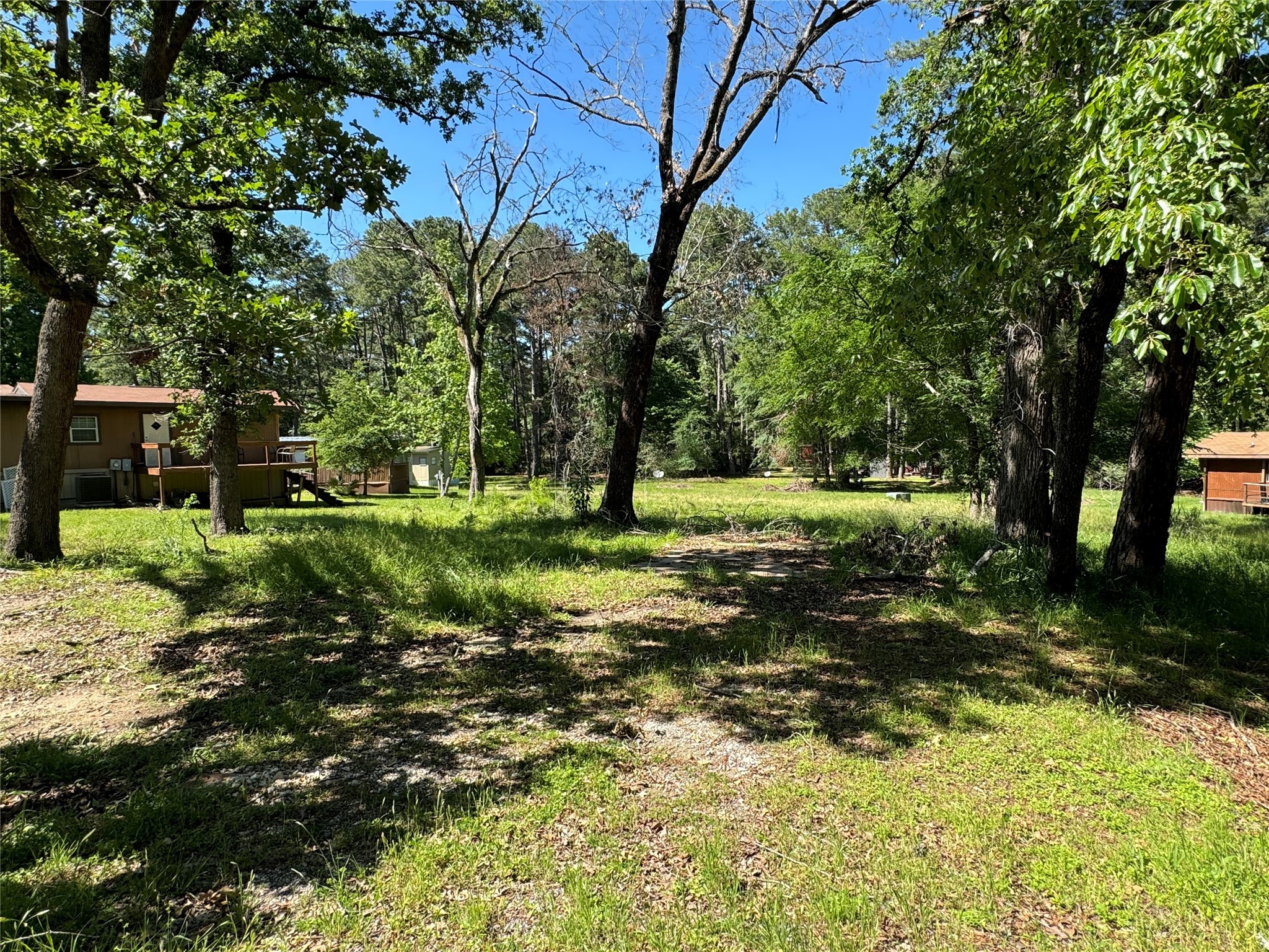 31 Whippoorwill Lane Trinity, TX 75862 - Photo 2 of 6 a view of a park with large trees