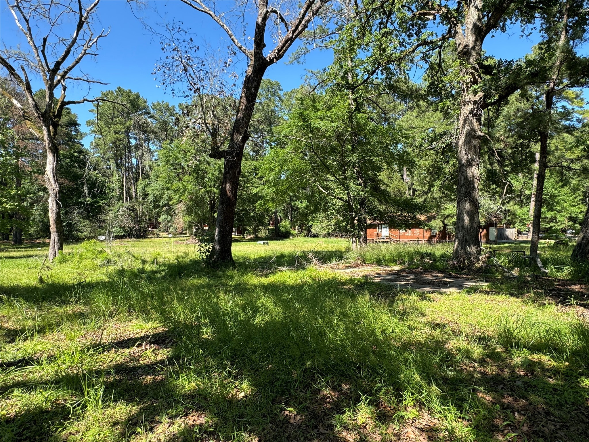 31 Whippoorwill Lane Trinity, TX 75862 - Photo 4 of 6 a view of backyard with green space