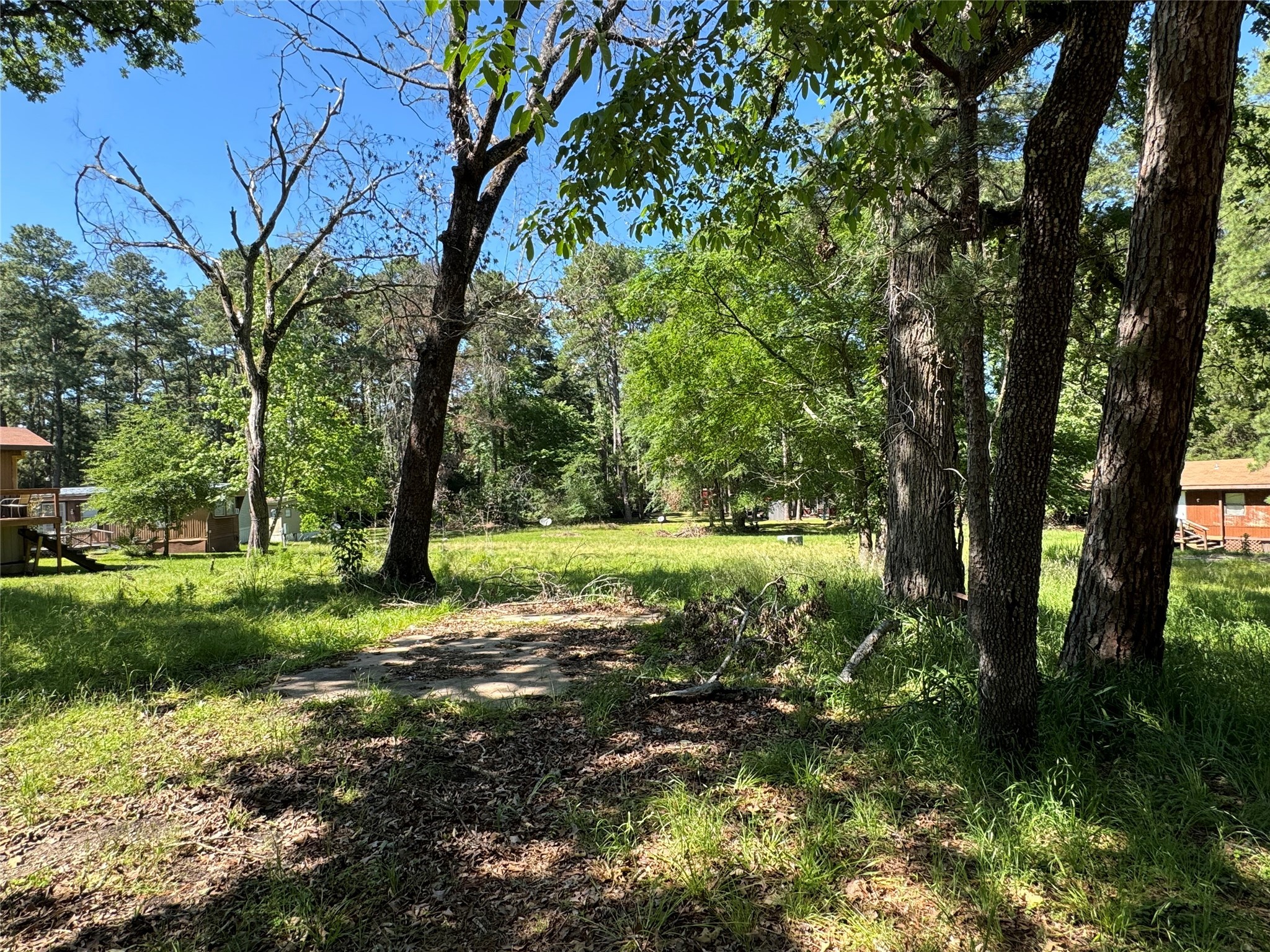 31 Whippoorwill Lane Trinity, TX 75862 - Photo 5 of 6 a view of a yard with a tree