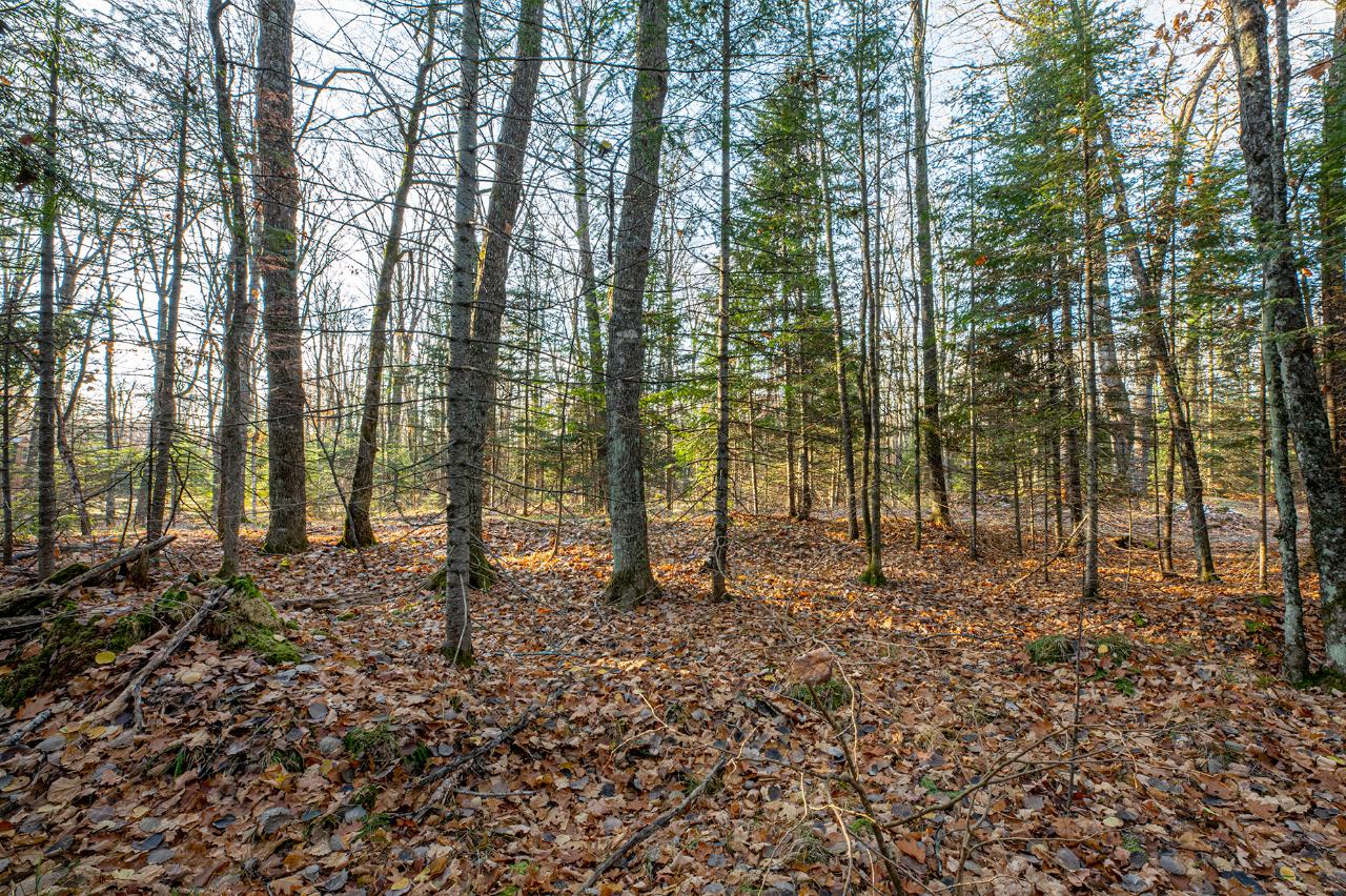 On Silver Birch Road Conover, WI 54519 - Photo 6 of 14 Gallery Image 6