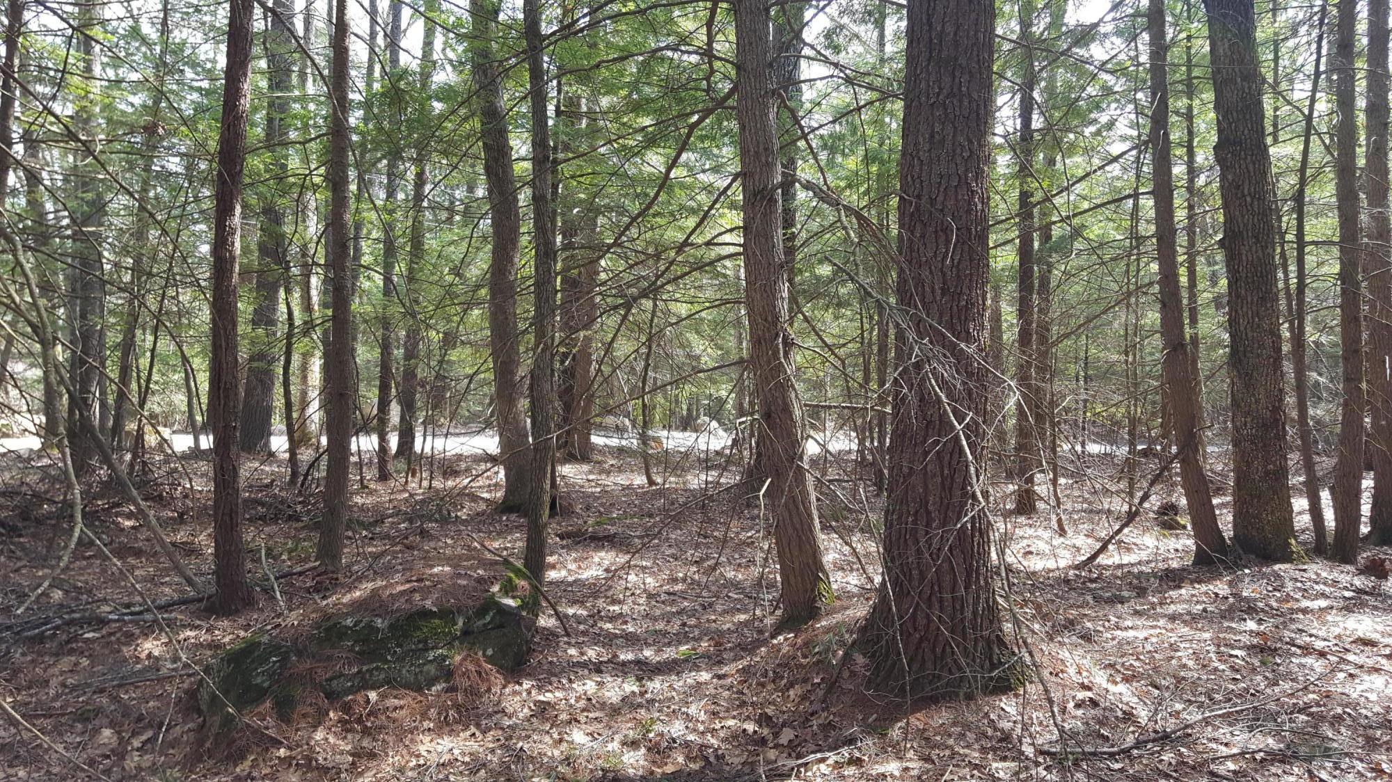 50 Johnson Road Windham, ME 04062 - Photo 15 of 24 20200506_151143