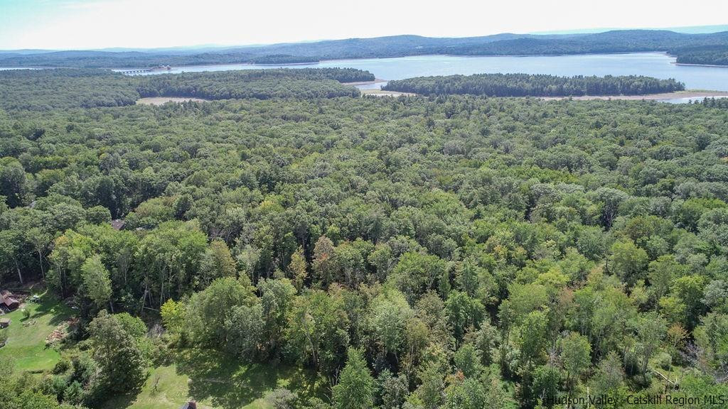Tbd Longyear Road Shokan, NY 12481 - Photo 12 of 12 Photo 12