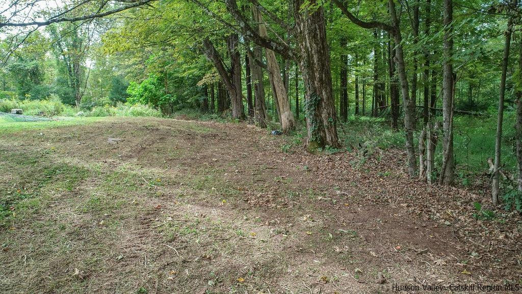 Tbd Longyear Road Shokan, NY 12481 - Photo 5 of 12 Photo 5
