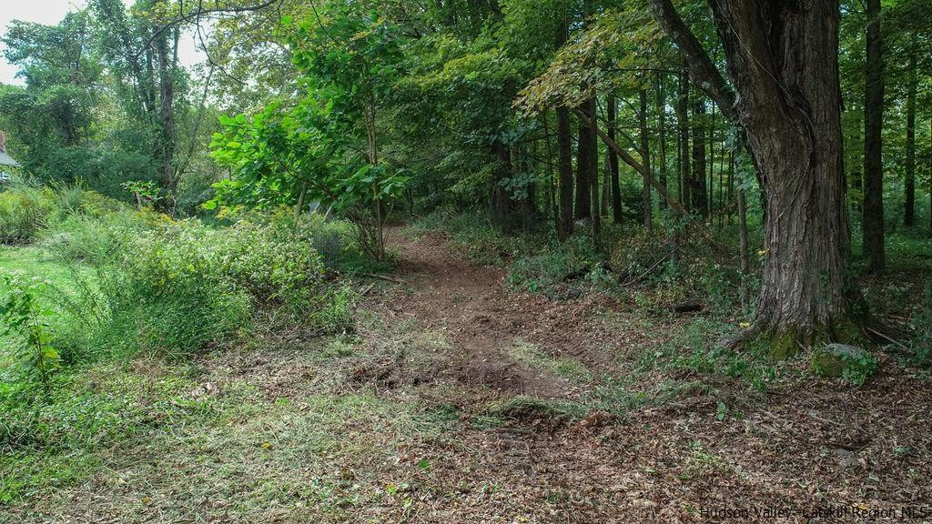 Tbd Longyear Road Shokan, NY 12481 - Photo 6 of 12 Photo 6