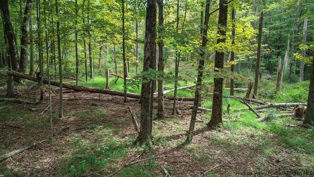 Tbd Longyear Road Shokan, NY 12481 - Photo 7 of 12 Photo 7