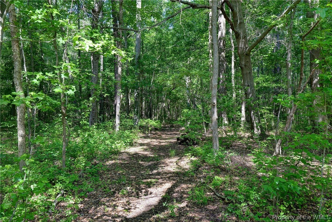 10147 Line Fence Road Hayes, VA 23072 - Photo 8 of 50 Gallery Image 8