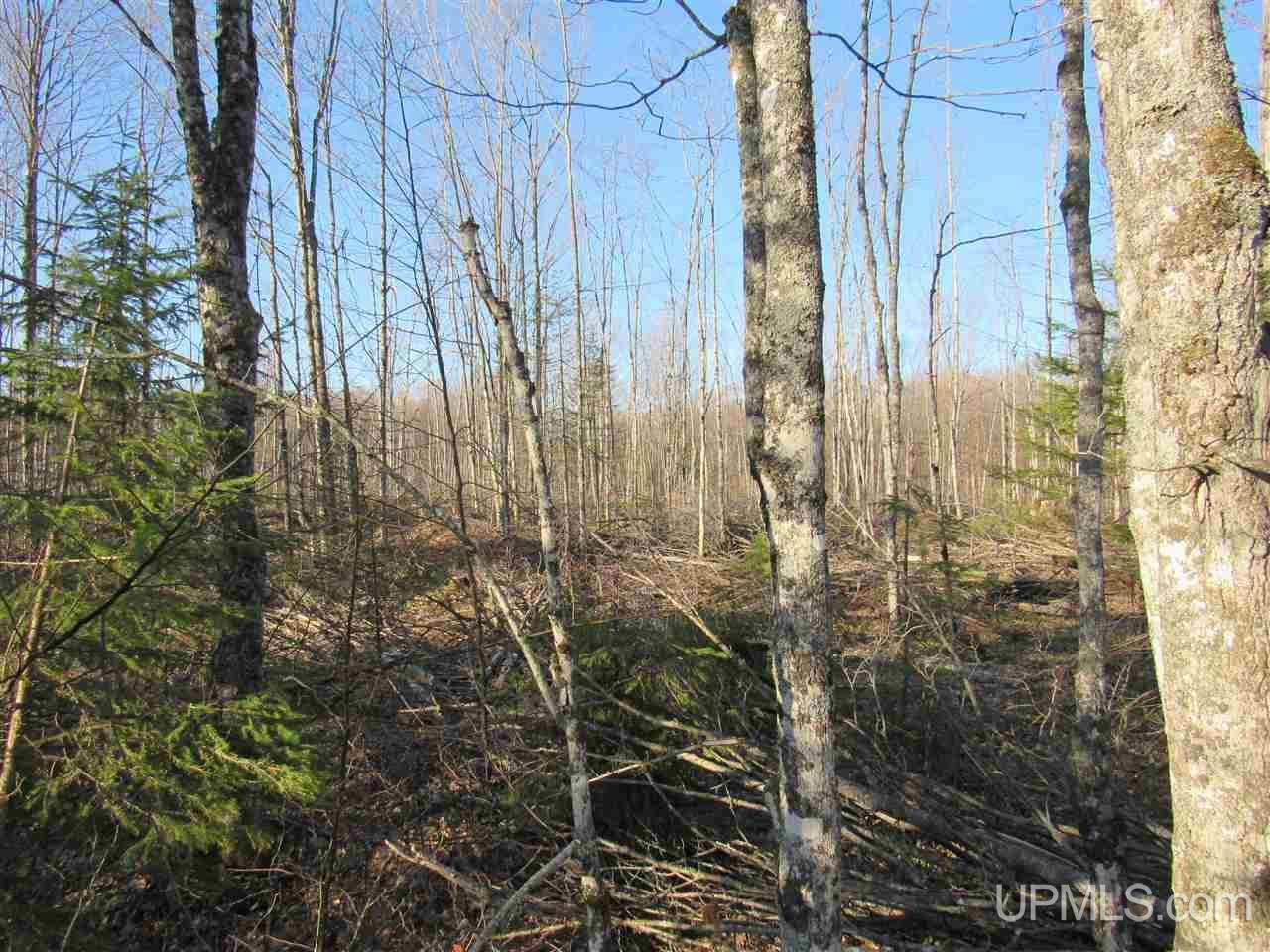 Tbd Tbd Mcmaster Road Skandia, MI 49885 - Photo 7 of 10