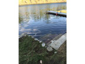 150 Parson Point Road Acton, ME 04001 - Photo 15 of 25 Gallery Image 15