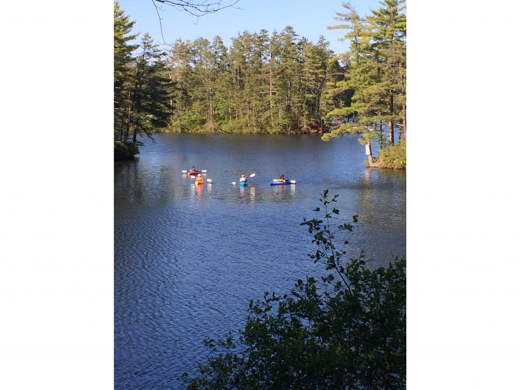 150 Parson Point Road Acton, ME 04001 - Photo 9 of 25 Gallery Image 9