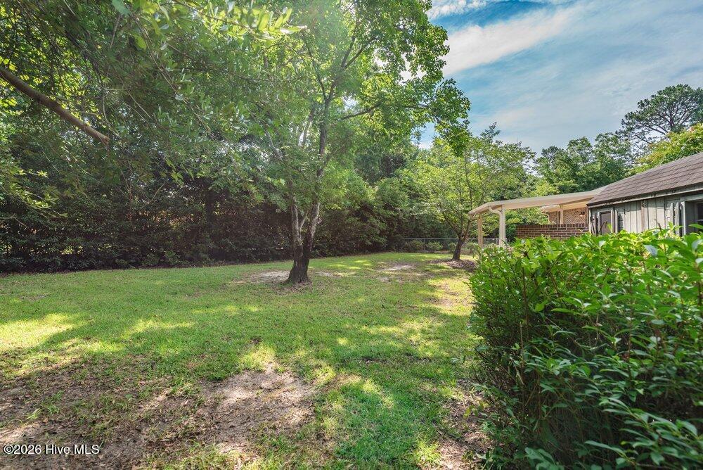 247 Wannamaker Drive Barnwell, SC 29812 - Photo 54 of 60