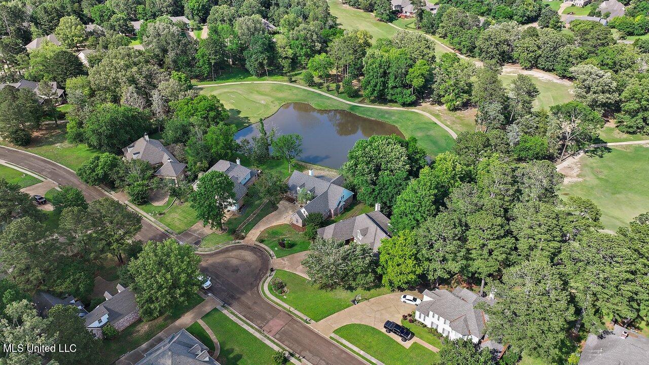 138 Sunflower Road Madison, MS 39110 - Photo 60 of 86 138 Sunflower Rd 61