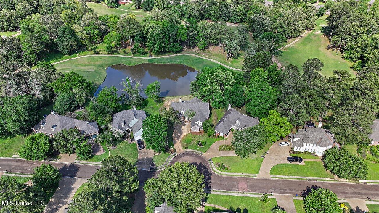 138 Sunflower Road Madison, MS 39110 - Photo 61 of 86 138 Sunflower Rd 62