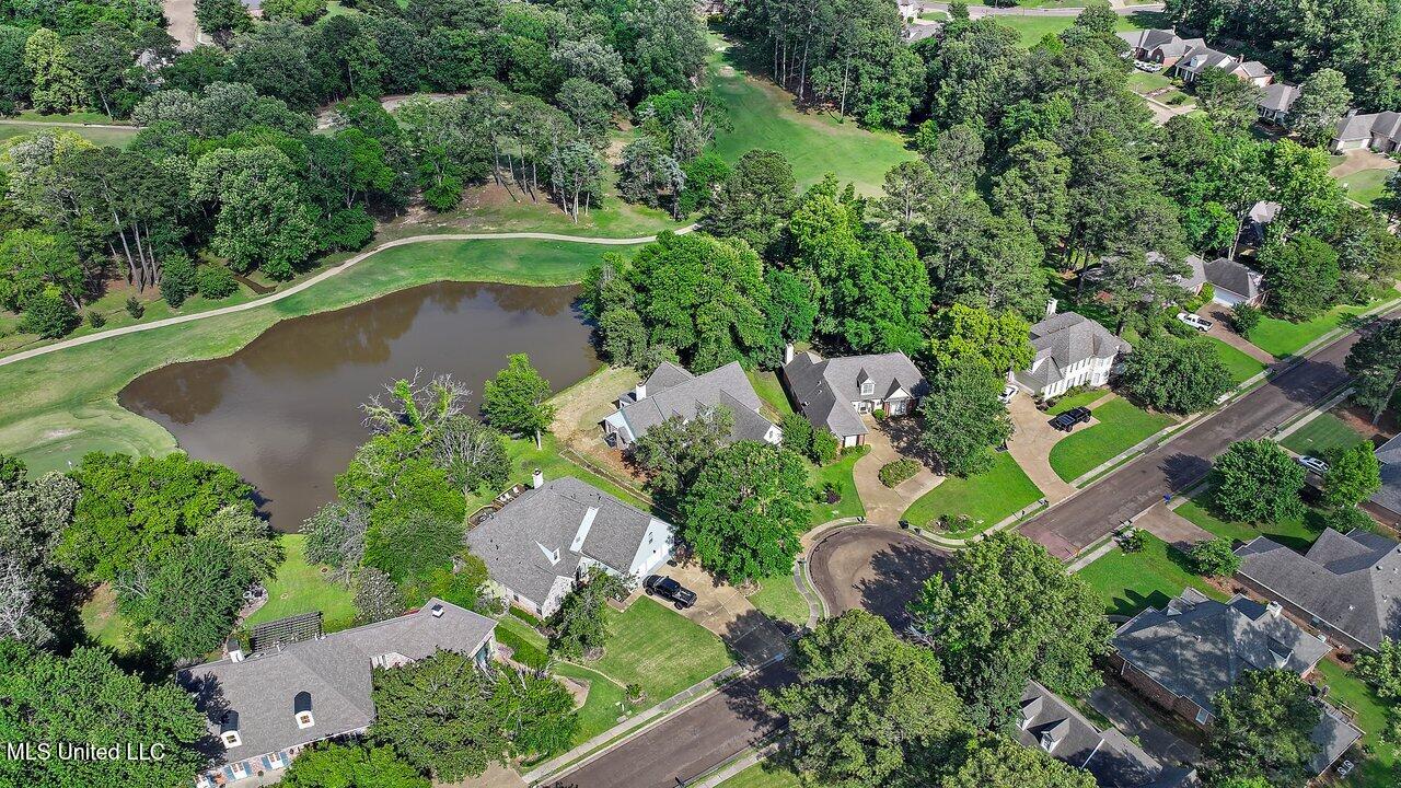 138 Sunflower Road Madison, MS 39110 - Photo 62 of 86 138 Sunflower Rd 63