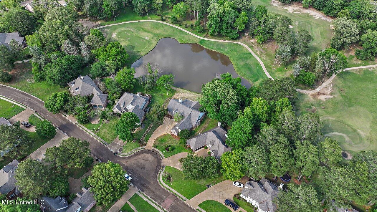 138 Sunflower Road Madison, MS 39110 - Photo 69 of 86 138 Sunflower Rd 70