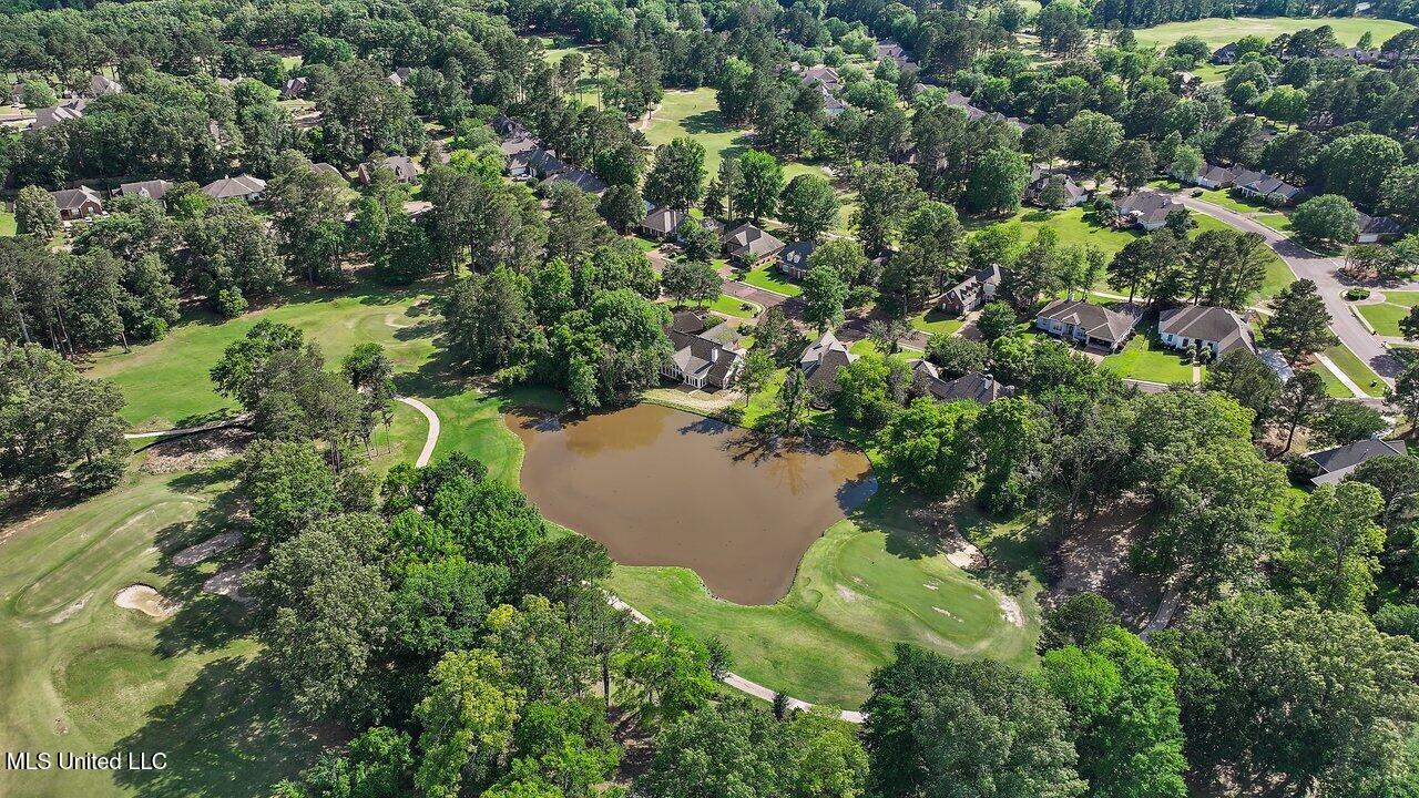 138 Sunflower Road Madison, MS 39110 - Photo 73 of 86 138 Sunflower Rd 74