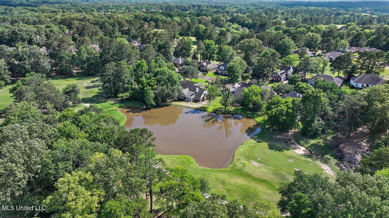 138 Sunflower Road Madison, MS 39110 - Photo 75 of 86 138 Sunflower Rd 76
