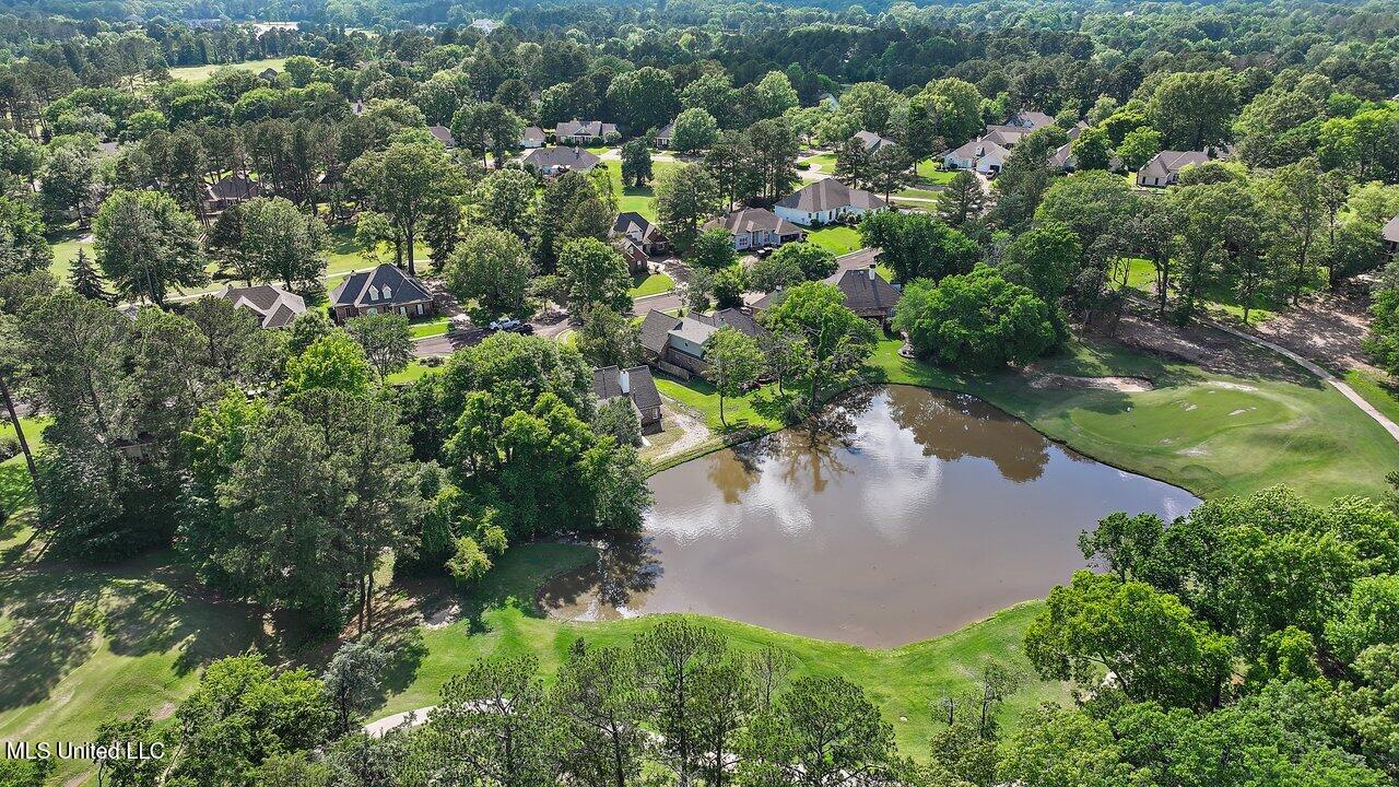 138 Sunflower Road Madison, MS 39110 - Photo 77 of 86 138 Sunflower Rd 78