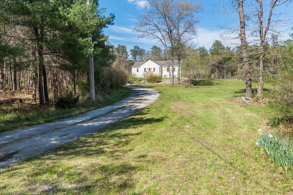 249 Blackmore Pond Road Wareham, MA 02576 - Photo 3 of 41 a view of yard with tree