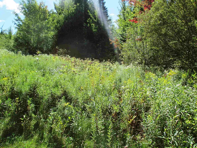 $70,000 | 432 Farm Road, Lowell, VT 05847