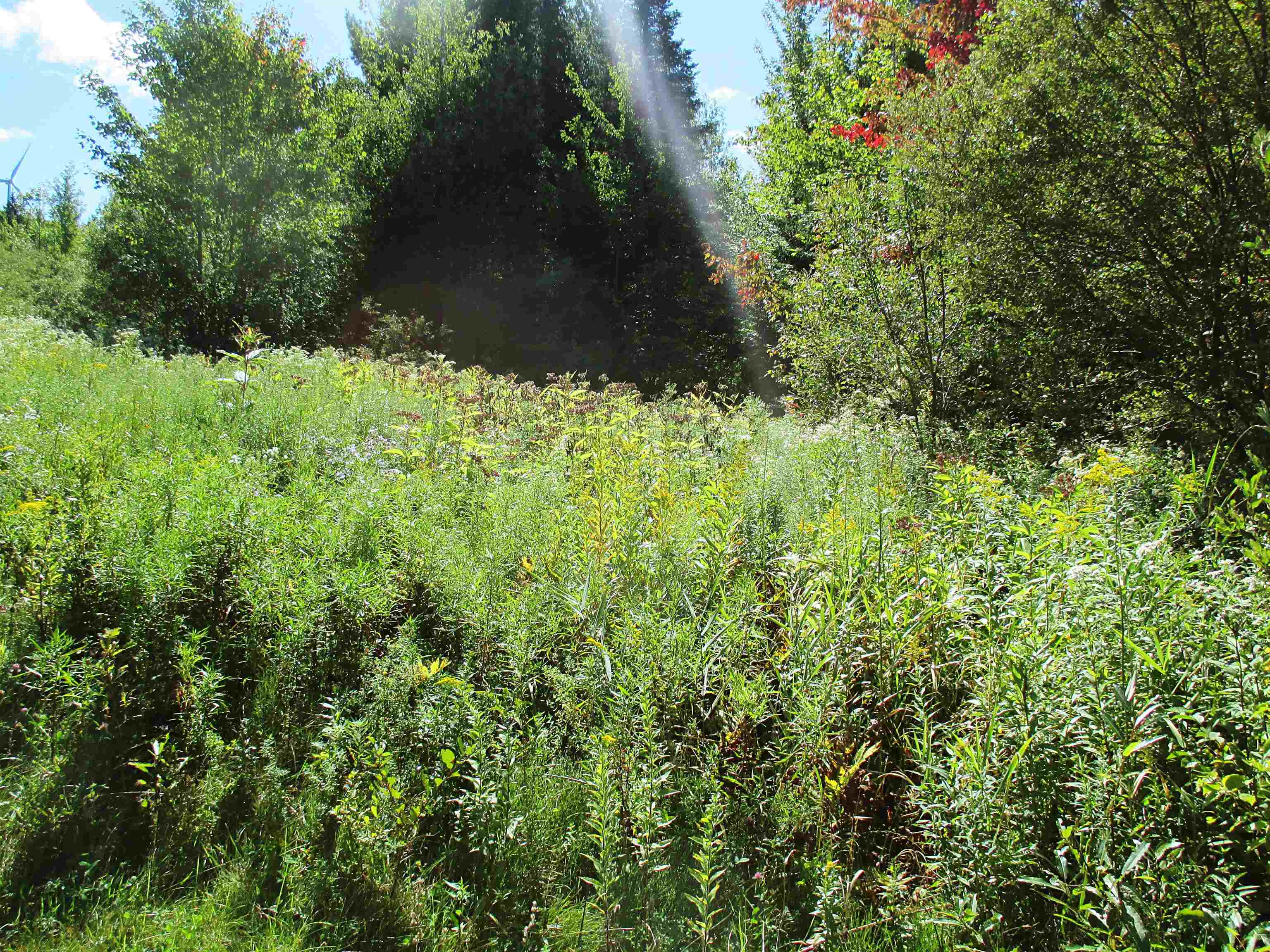 432 Farm Road Lowell, VT 05847 - Photo 11 of 15