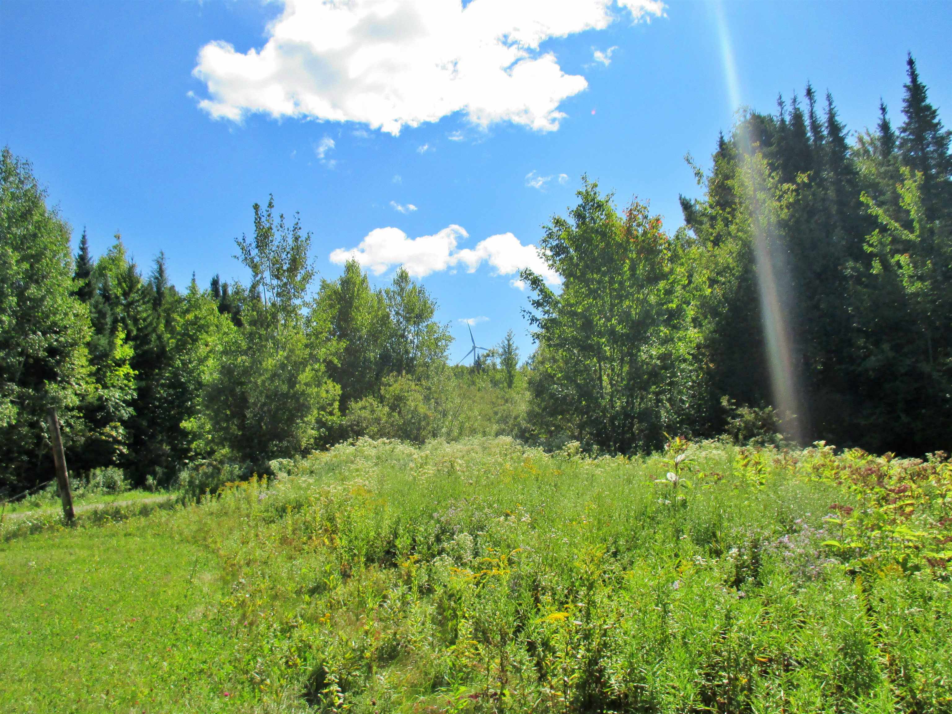 432 Farm Road Lowell, VT 05847 - Photo 3 of 15