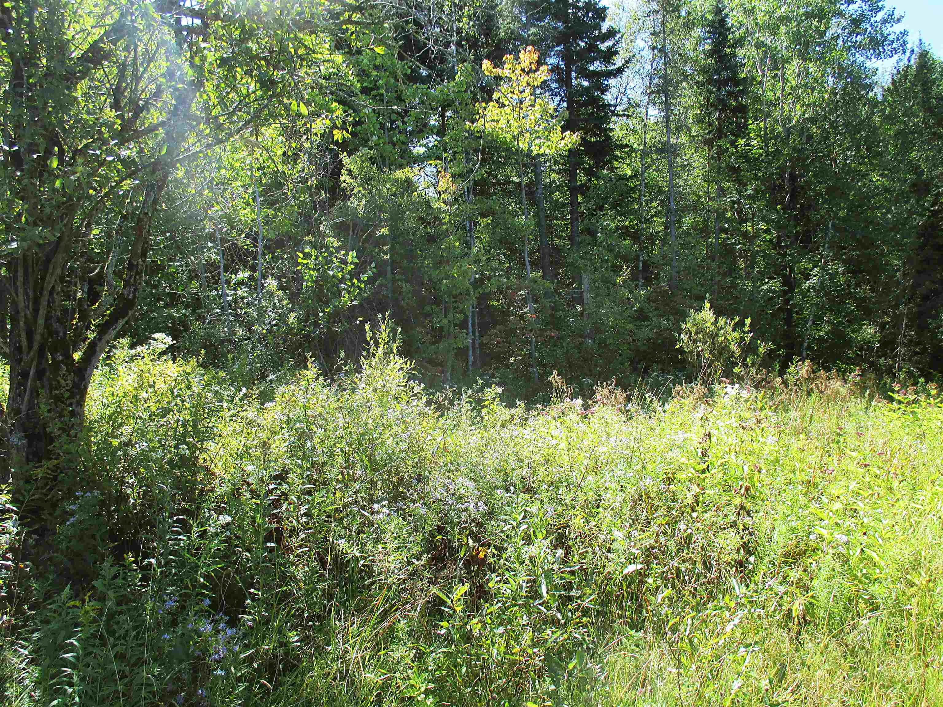 432 Farm Road Lowell, VT 05847 - Photo 5 of 15