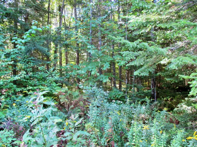 $70,000 | 432 Farm Road, Lowell, VT 05847