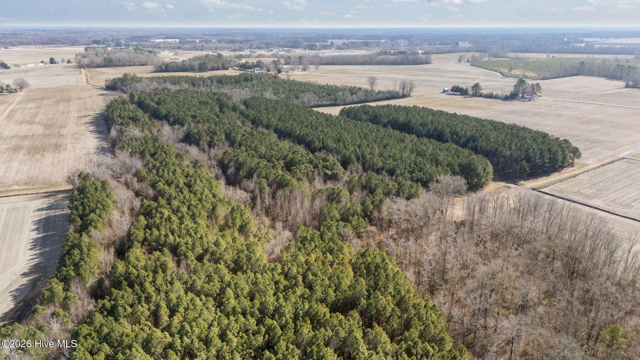 0 Grifton Hugo Road Grifton, NC 28530 - Photo 5 of 14 4-web-or-mls-DJI_20260121125534_0527_D