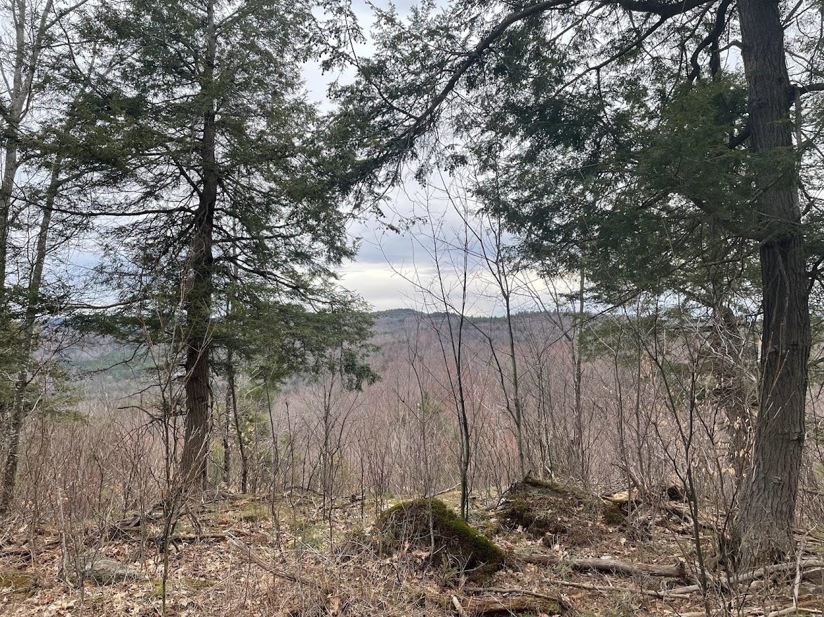301 Ruggles Mine Road Grafton, NH 03240 - Photo 1 of 10 Gallery Image 1