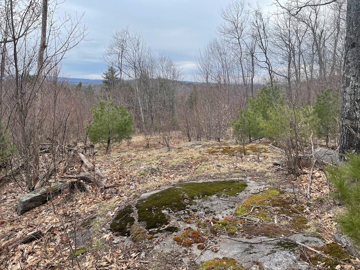 301 Ruggles Mine Road Grafton, NH 03240 - Photo 2 of 10 Gallery Image 2