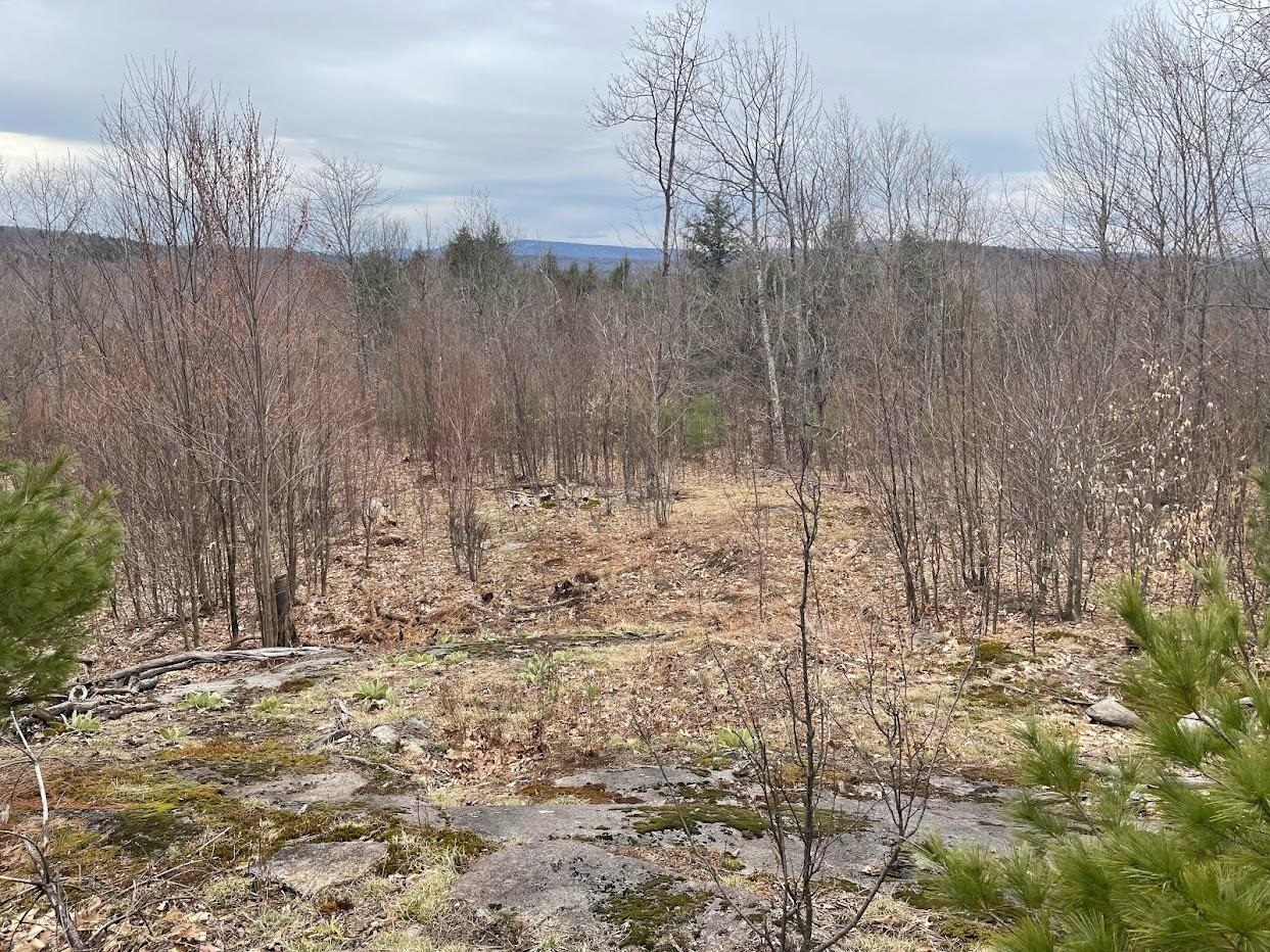 301 Ruggles Mine Road Grafton, NH 03240 - Photo 3 of 10 Gallery Image 3