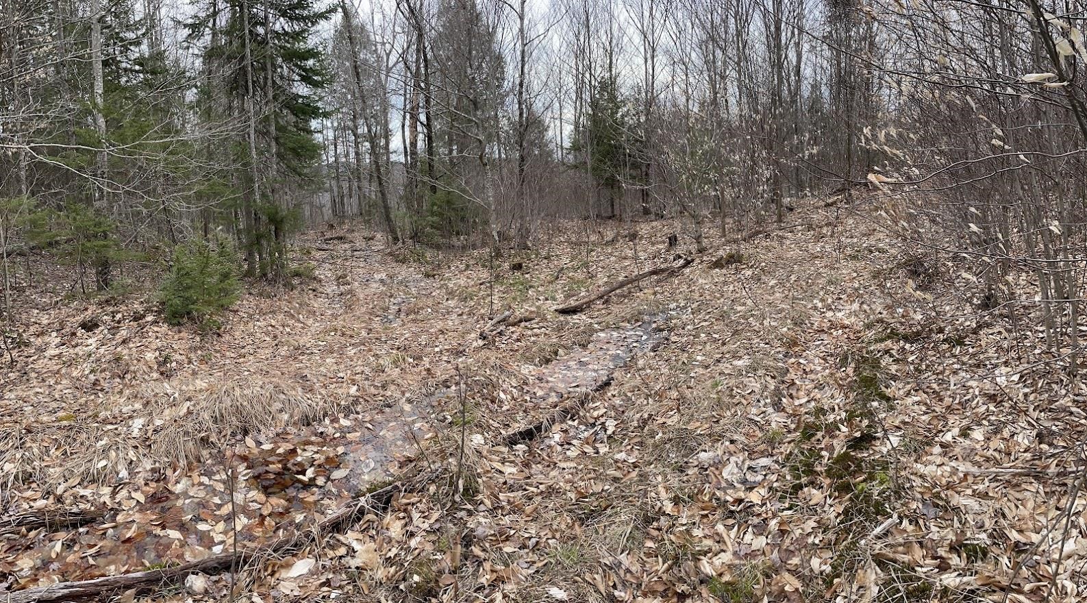 301 Ruggles Mine Road Grafton, NH 03240 - Photo 5 of 10 Gallery Image 5
