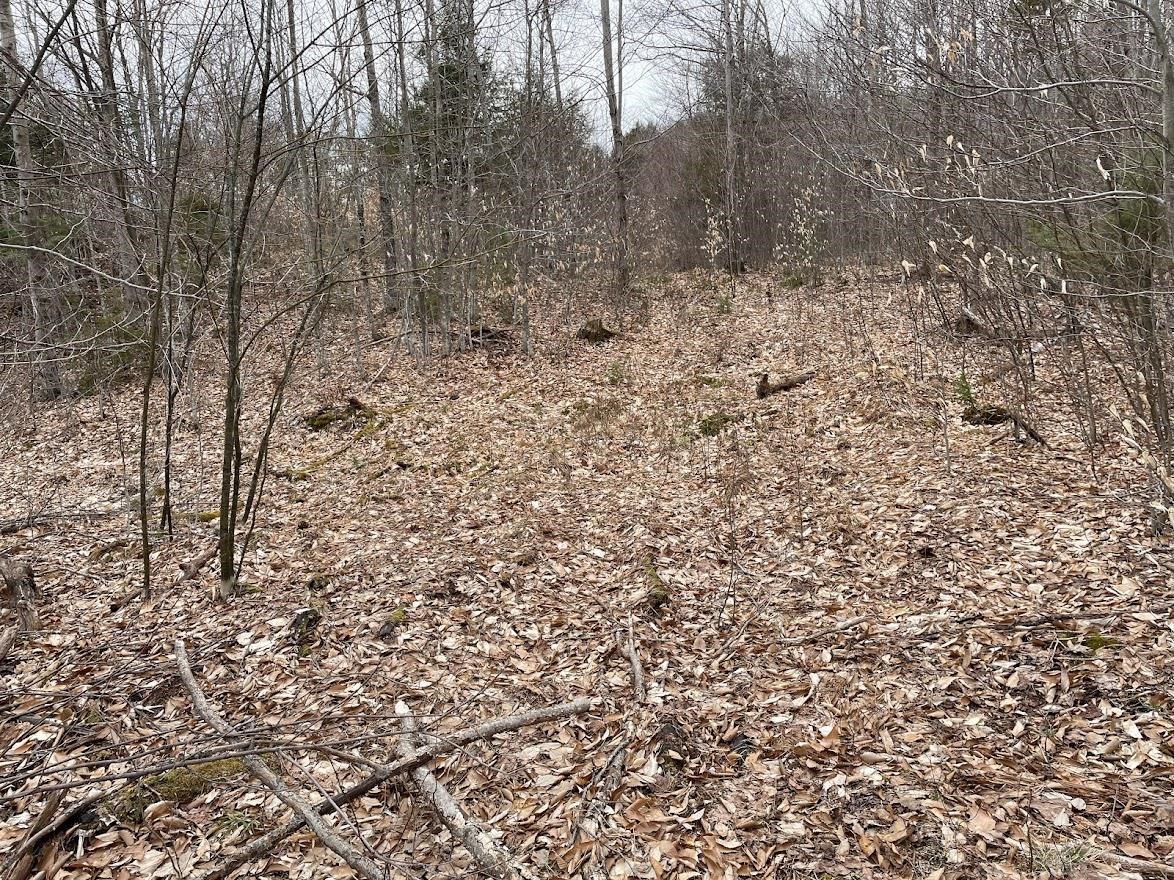 301 Ruggles Mine Road Grafton, NH 03240 - Photo 6 of 10 Gallery Image 6