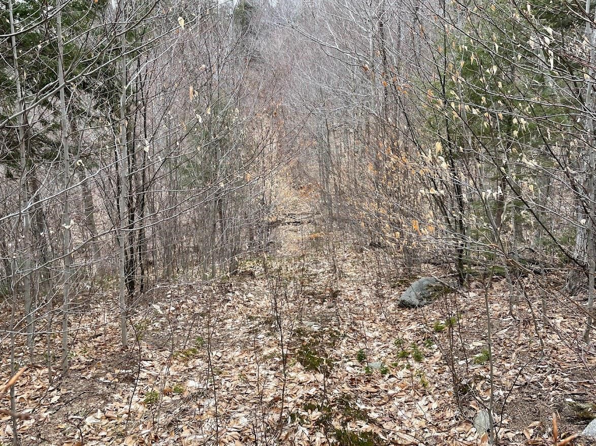 301 Ruggles Mine Road Grafton, NH 03240 - Photo 9 of 10 Gallery Image 9