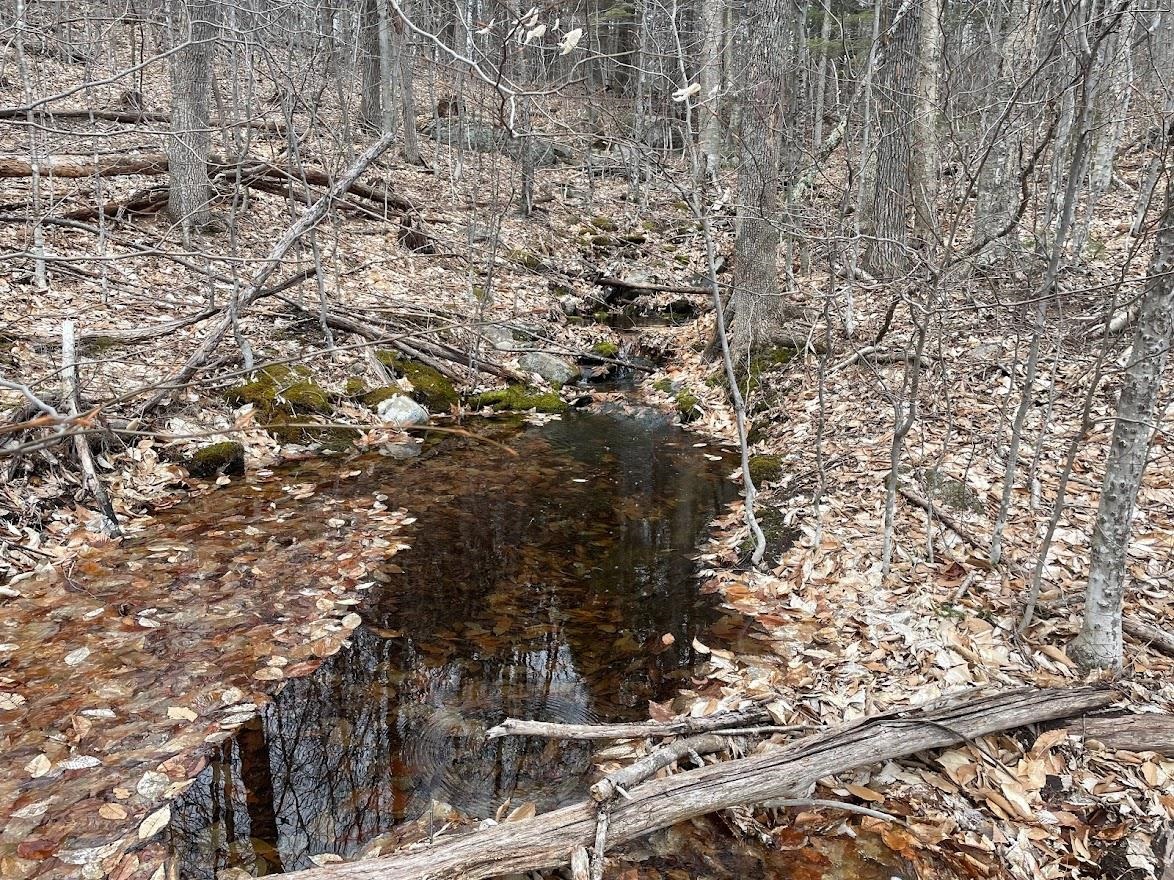 301 Ruggles Mine Road Grafton, NH 03240 - Photo 10 of 10 Gallery Image 10