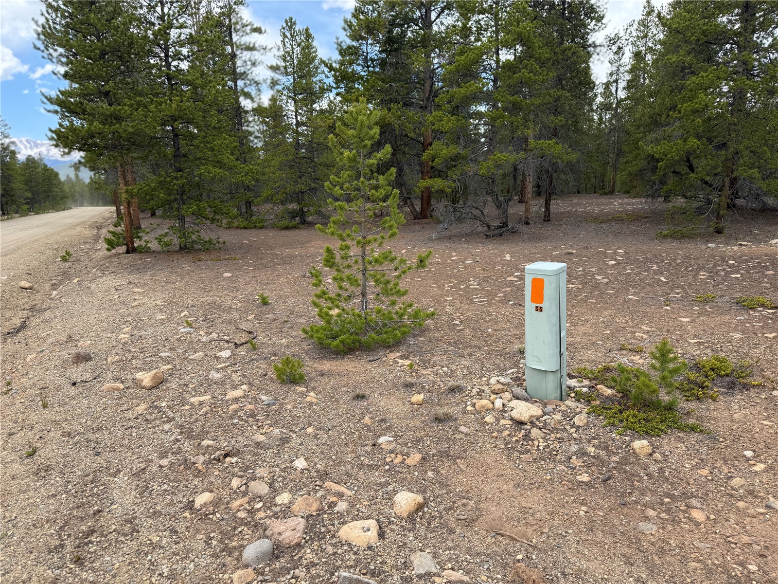 201 Snowshoe Rabbit Drive Leadville, CO 80461 - Photo 12 of 17