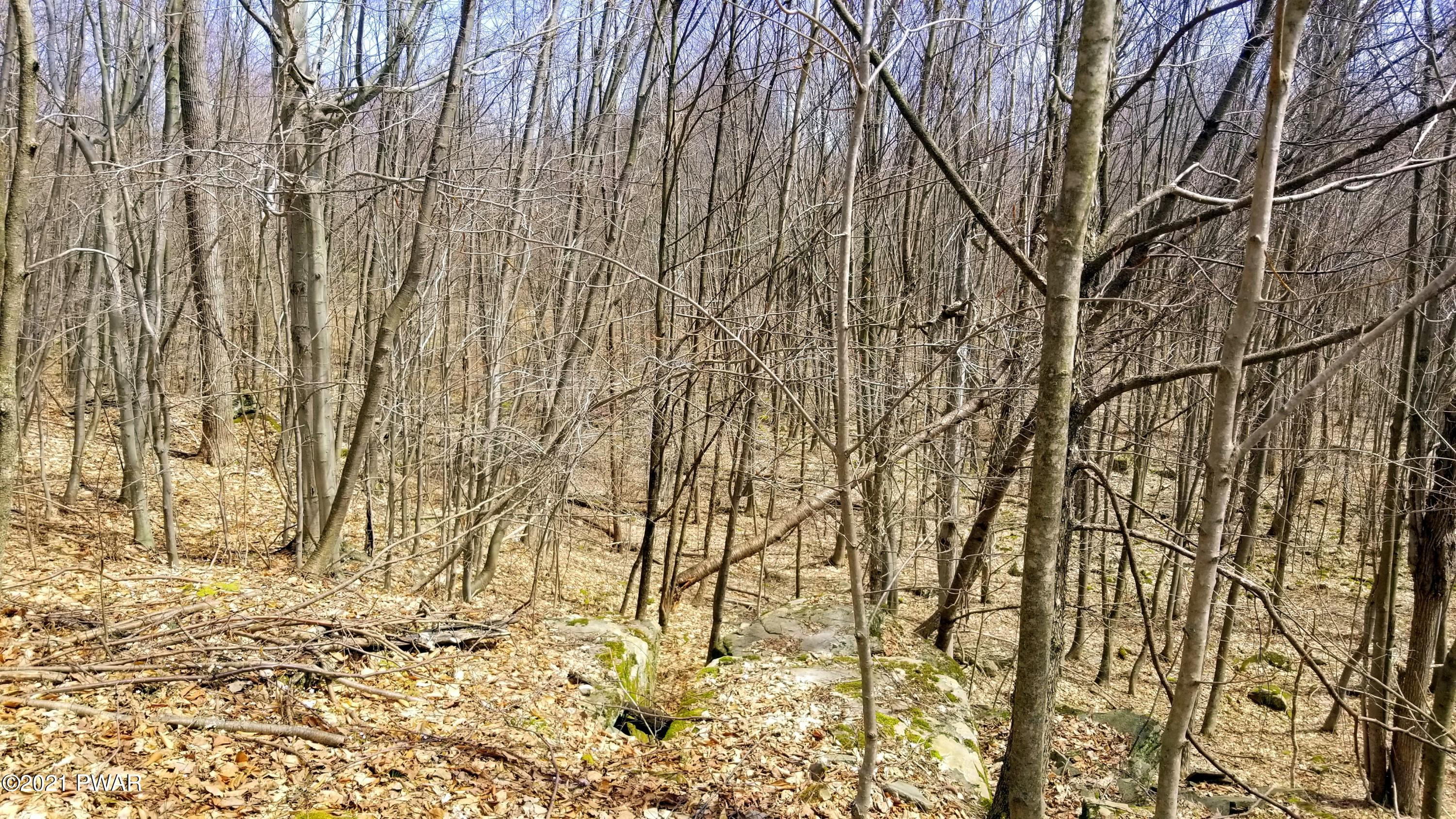 56 Highridge Road Equinunk, PA 18417 - Photo 19 of 38