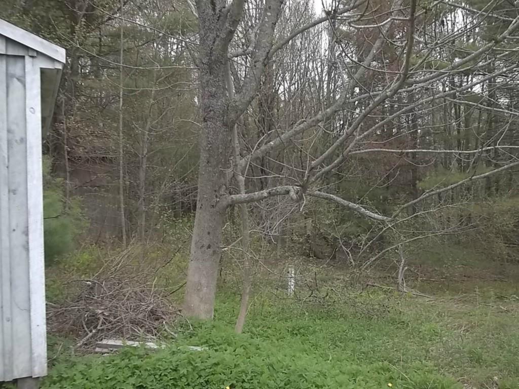 86 Old Ferry Road Wiscasset, ME 04578 - Photo 11 of 17 Photo