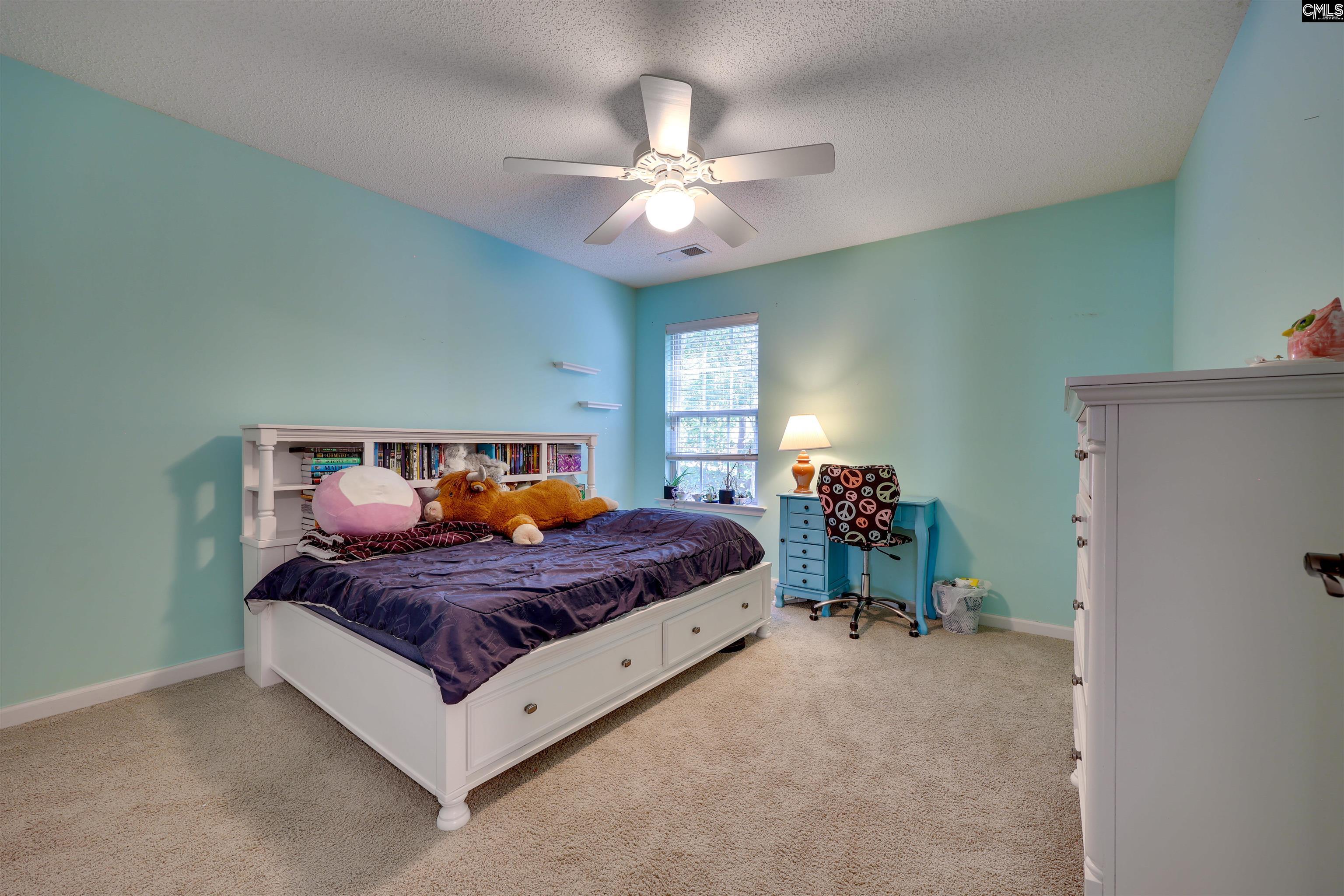 206 Coopers Hawk Circle Irmo, SC 29063 - Photo 23 of 32