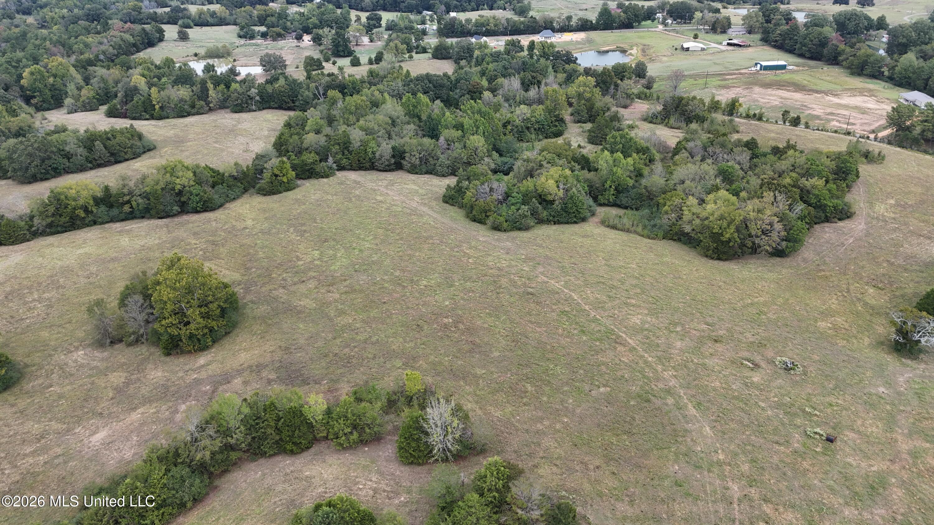 11.05 Bub Jamison Road Coldwater, MS 38618 - Photo 11 of 11 DJI_20260924115739_0099_D