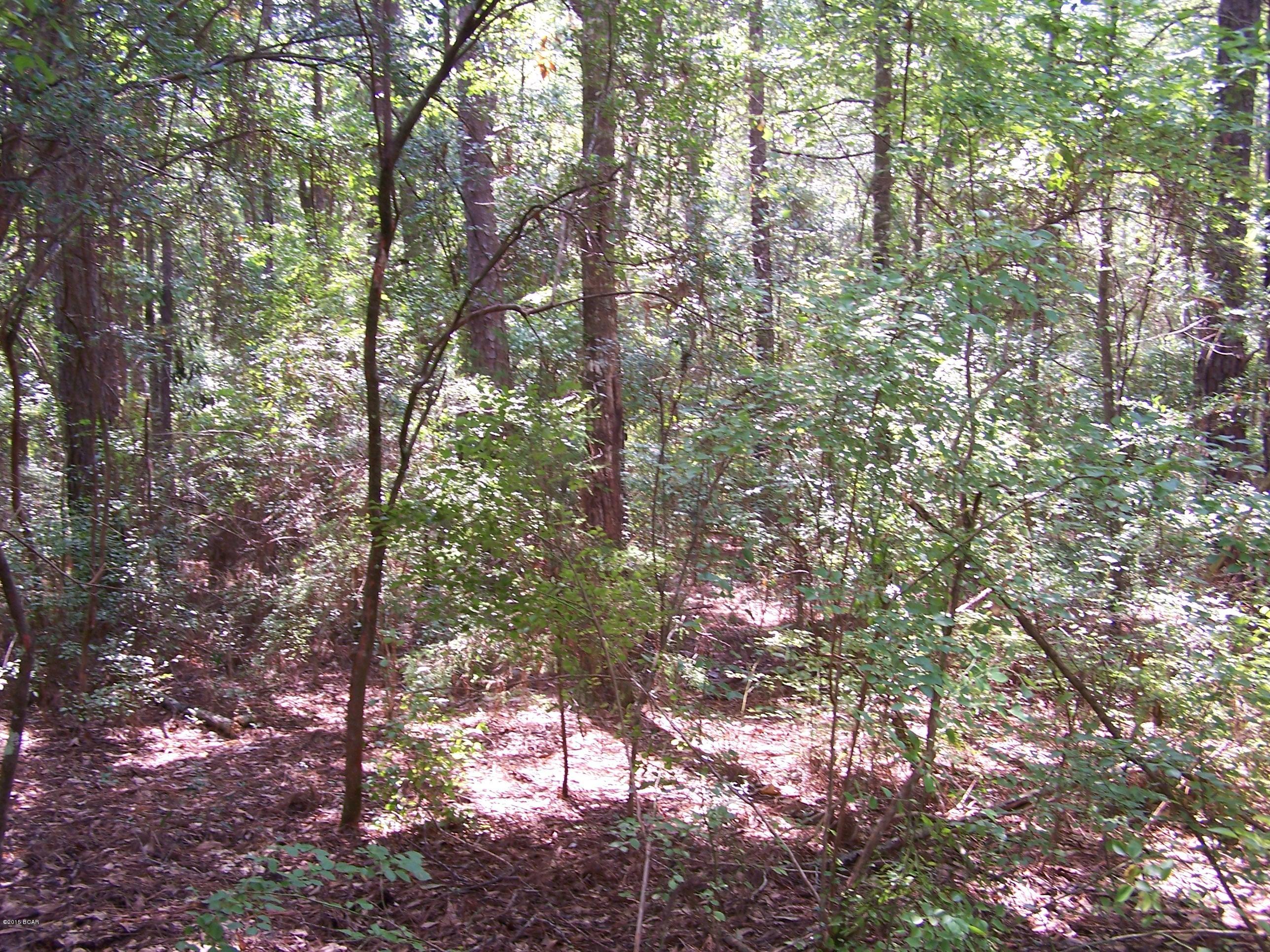3238 East Martin Road Bonifay, FL 32425 - Photo 41 of 50 Gallery Image 41