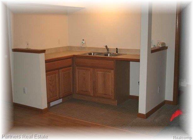 11095 Culver Road Brighton, MI 48114 - Photo 22 of 25 Wetbar in Lower Level Walkout