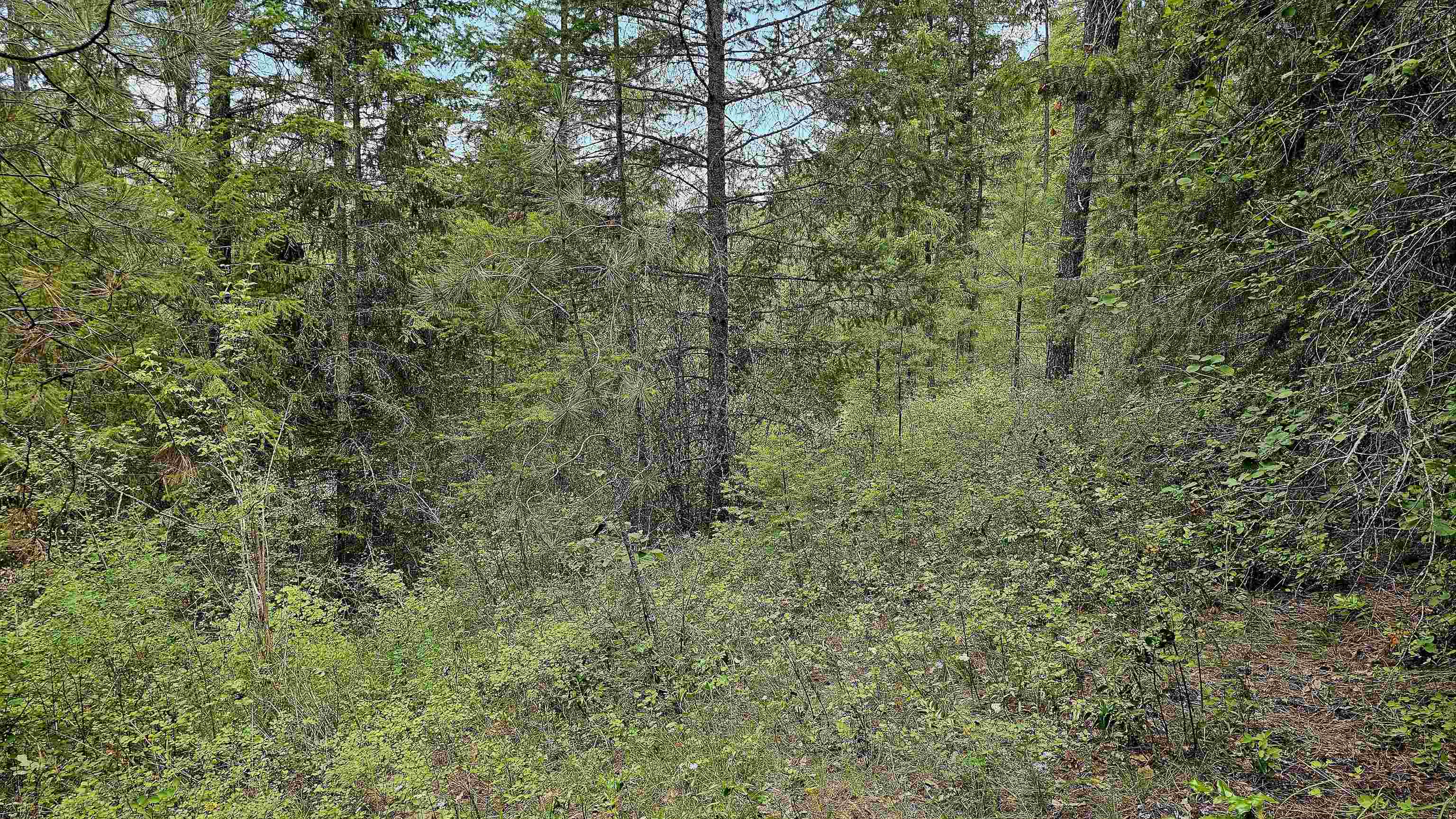 10 Humes Road Kettle Falls, WA 99141 - Photo 18 of 20